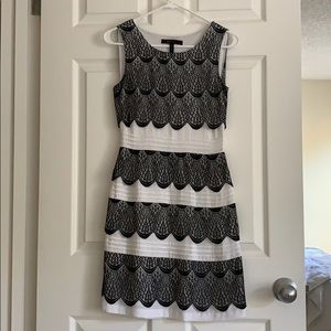 BCBG Black and white lace dress